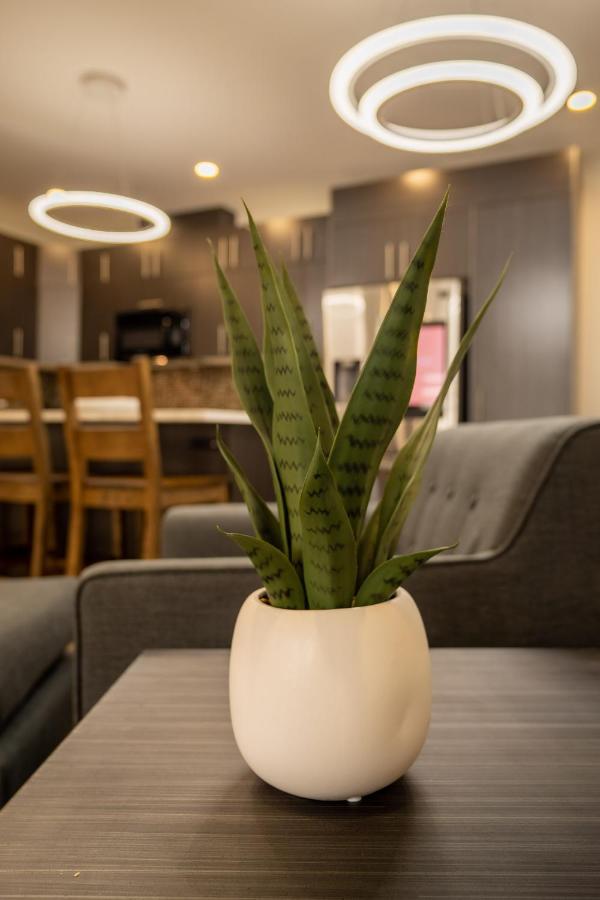 Quality Inn Sunshine Suites Terrace Exteriér fotografie